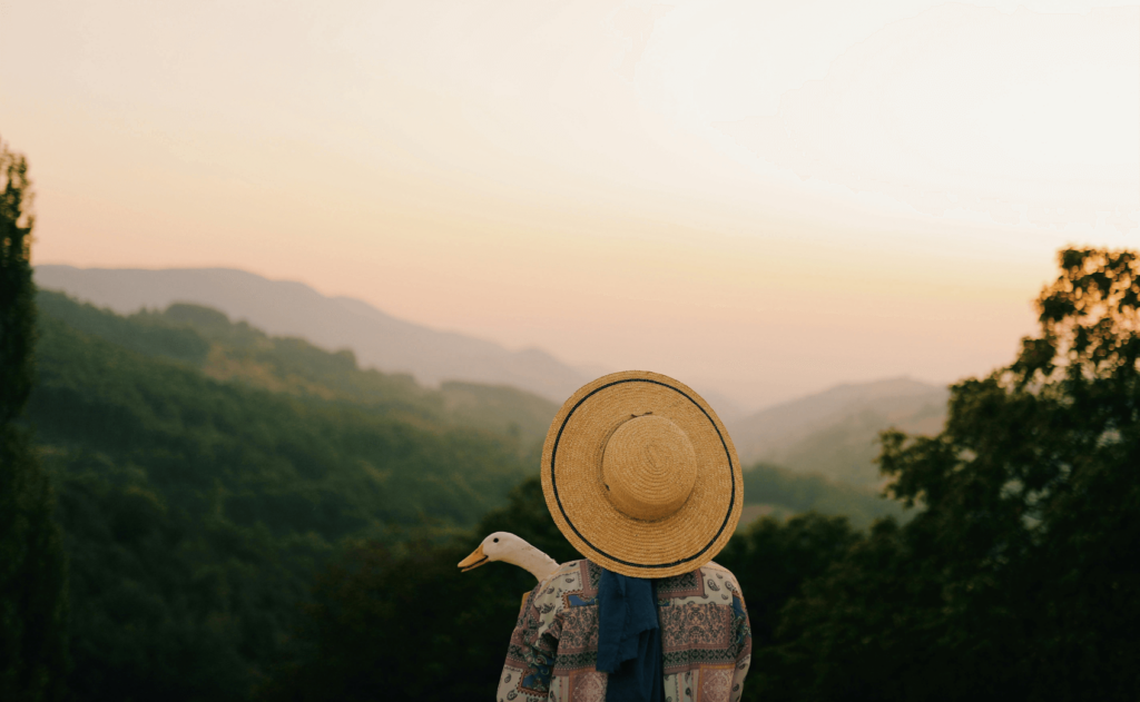 selbstbewusst werden coaching