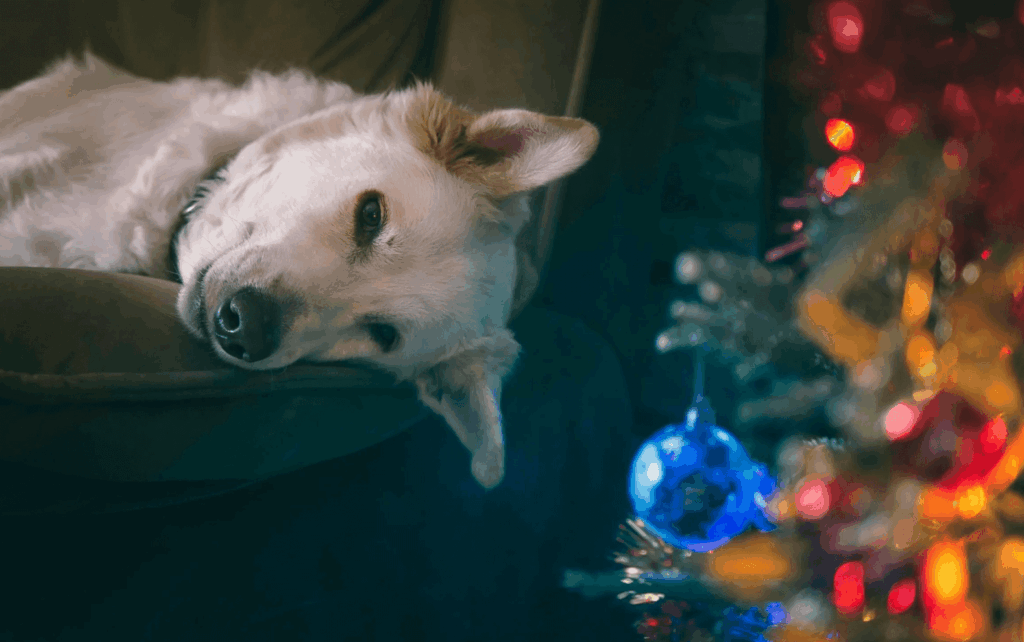 Weihnachtsstress HAcks Tools Tricks