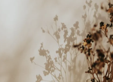 Schattenarbeit Selbstliebe Coaching Angie Schulz