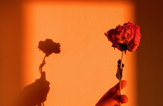 Schattenarbeit Selbstliebe Coaching Angie Schulz