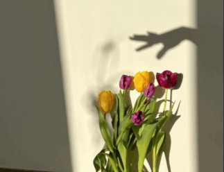 Schattenarbeit Selbstliebe Coaching Angie Schulz